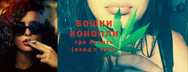 спиды Новодвинск