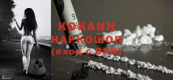 спиды Новодвинск