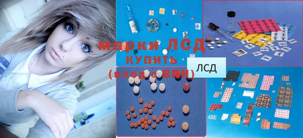 спиды Новодвинск