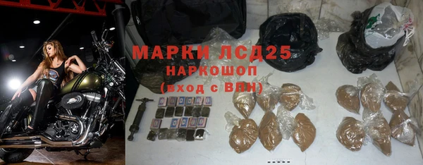 спиды Новодвинск