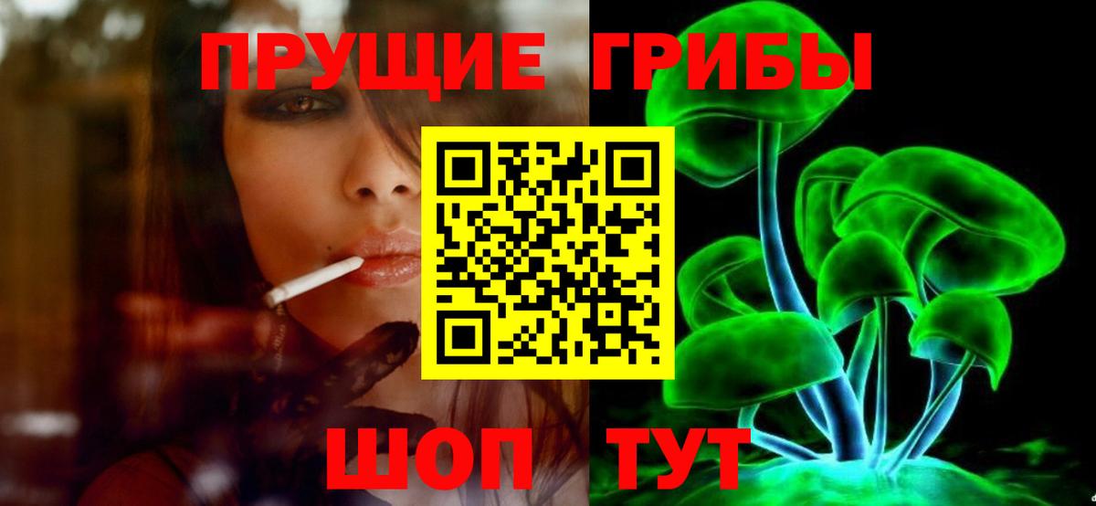 Людиново  Галлюциногенные грибы Psilocybe  Вход с VPN 