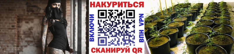 Конопля гибрид  Людиново 